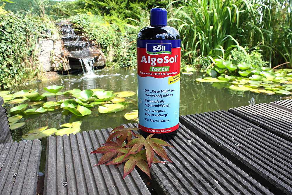 AlgoSol-forte-1Liter