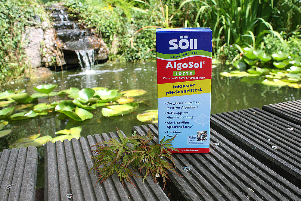 AlgoSol-forte-500ml