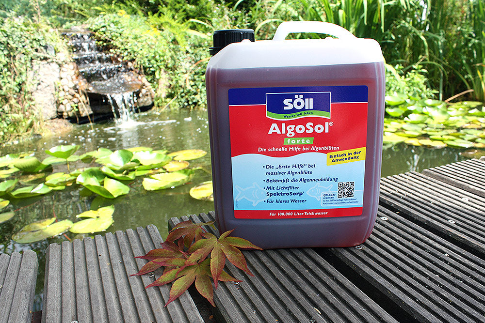 AlgoSol-forte-5Liter