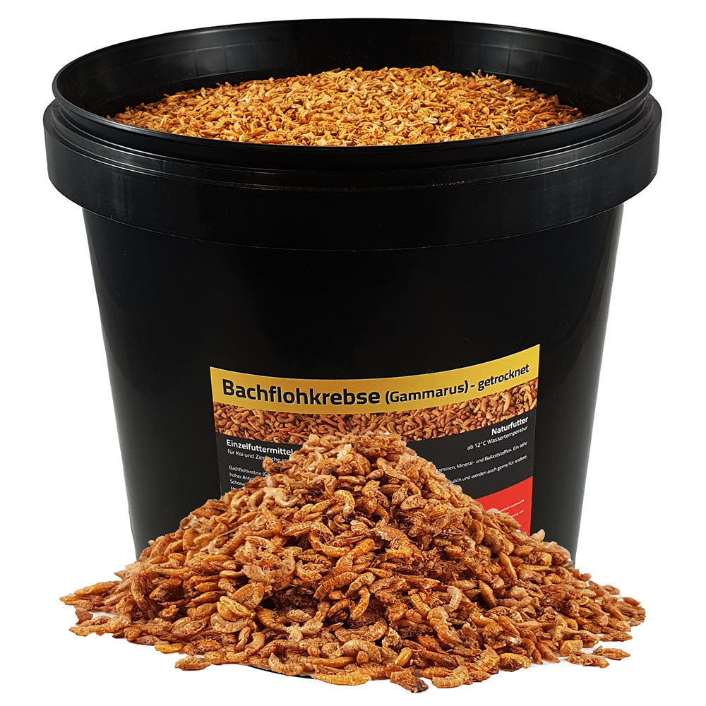 Bachflohkrebse-10L