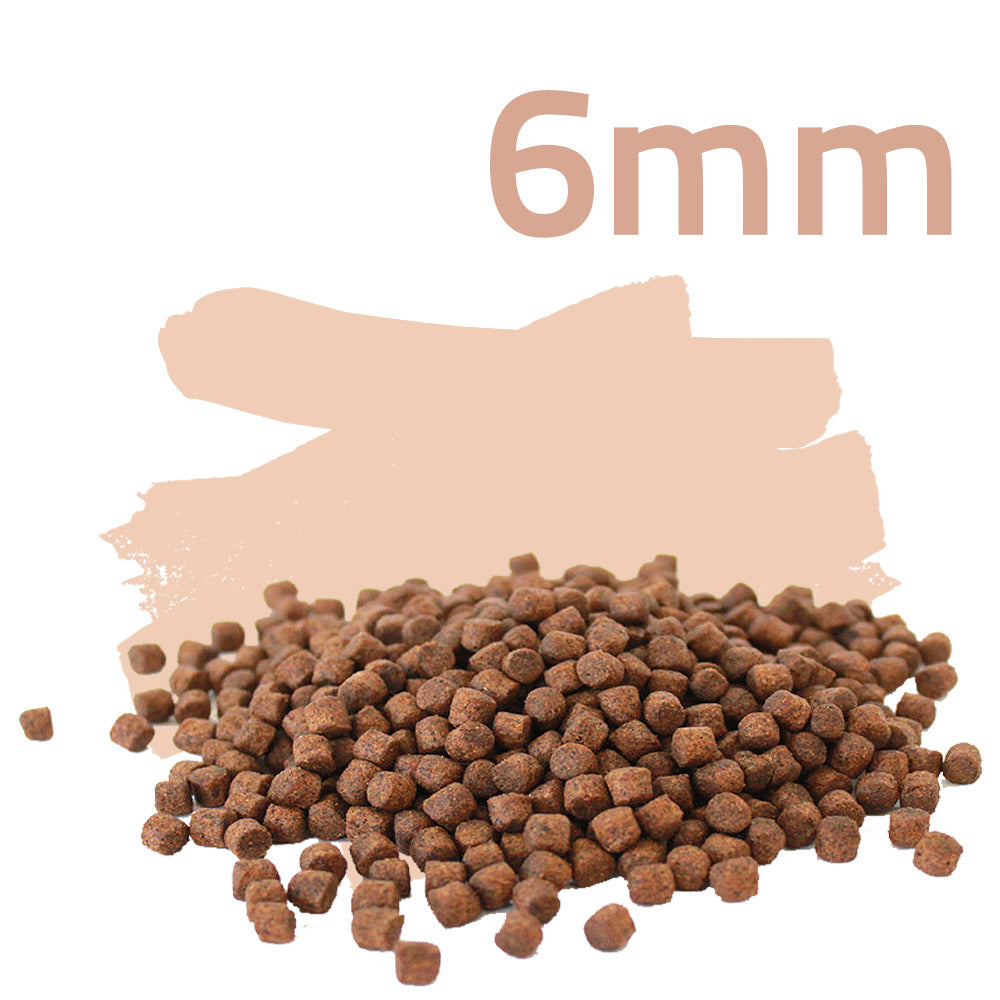 Color Intense 15kg - Koifutter