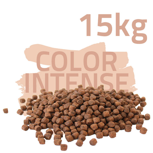 Color Intense 15kg - Koifutter