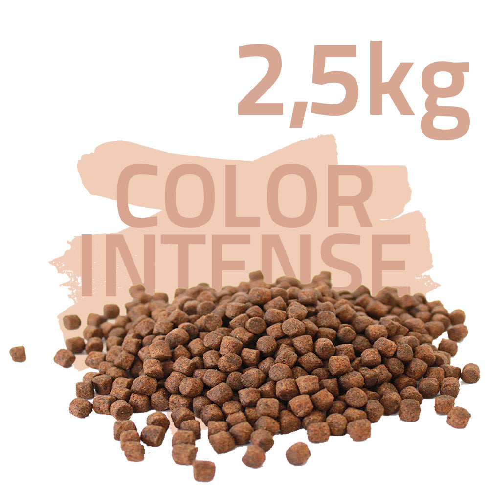 Color Intense 2,5kg - Koifutter