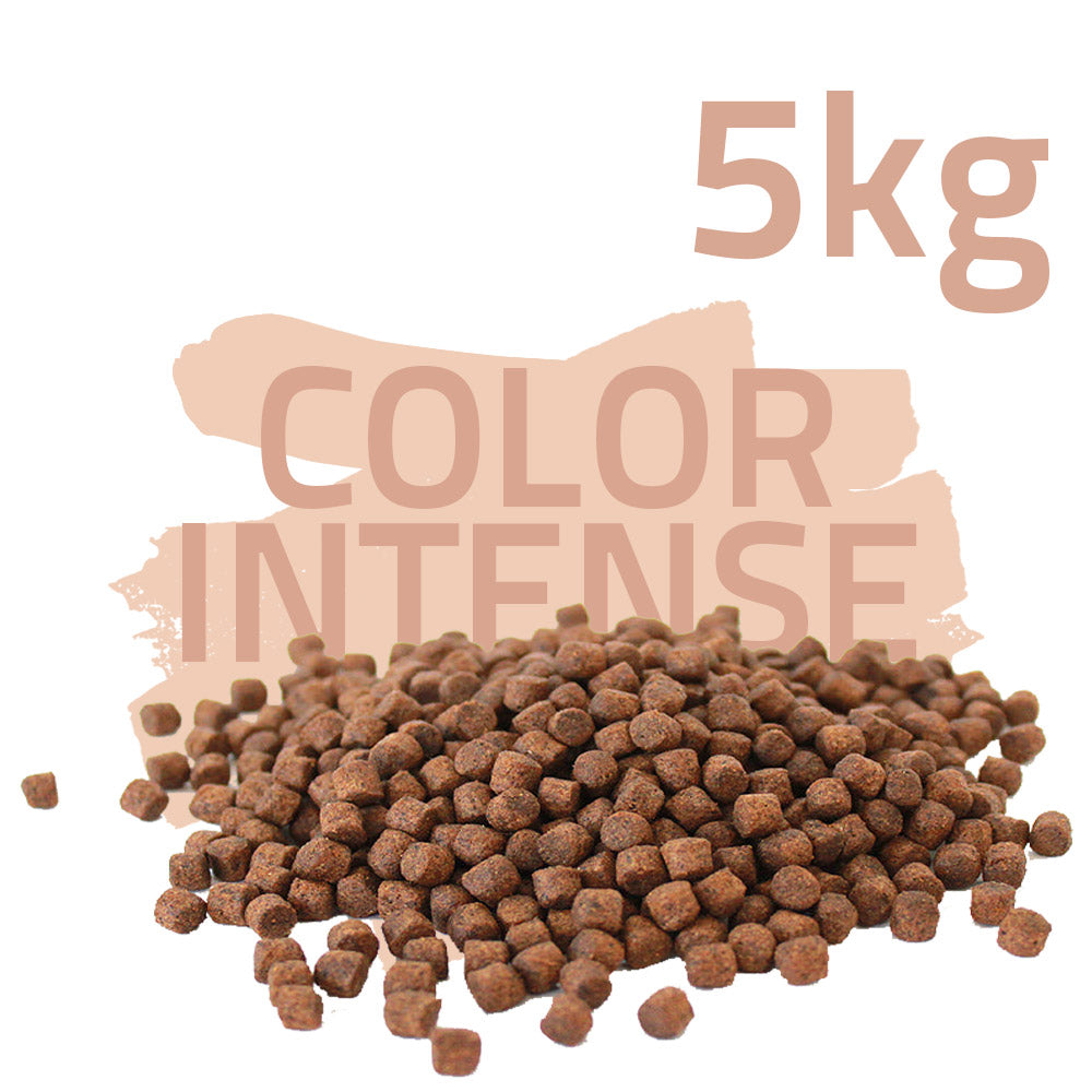 Koifutter-Set "Sommerfarben"