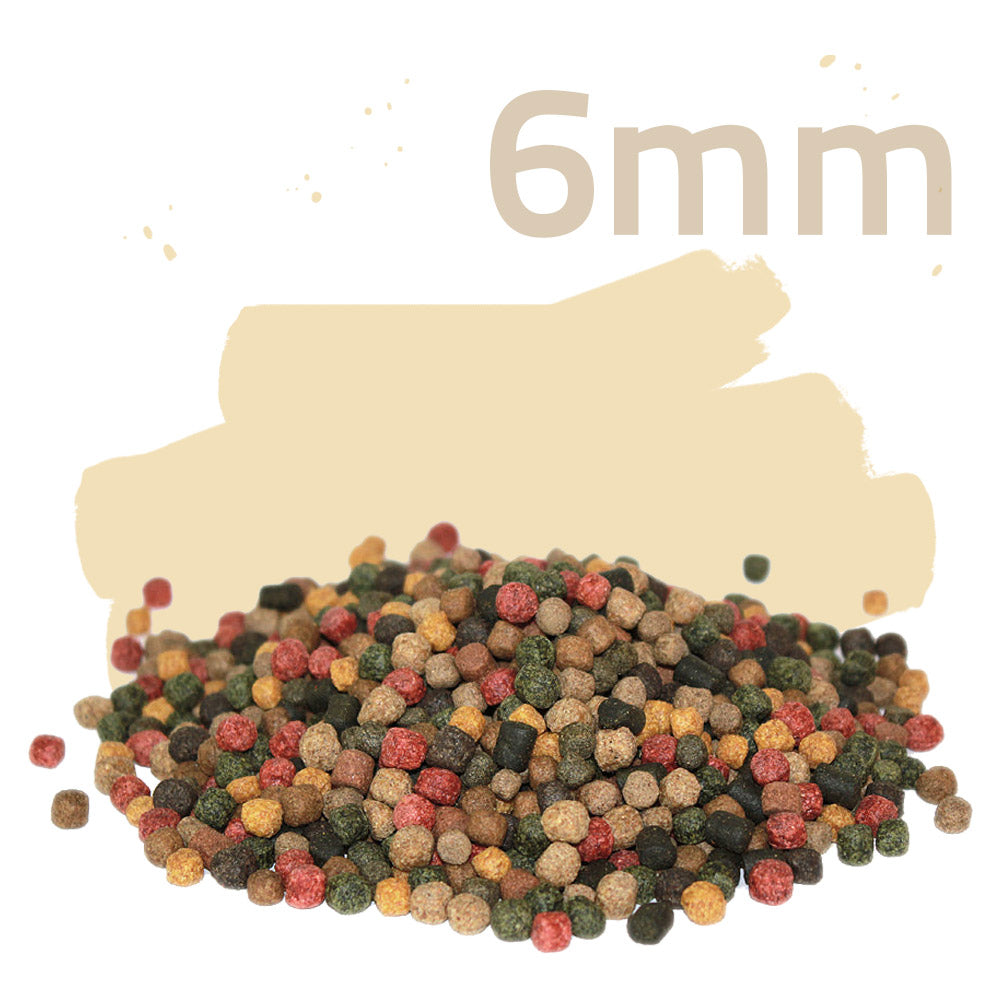 Living Colours 15kg - Koifutter 10 Sorten