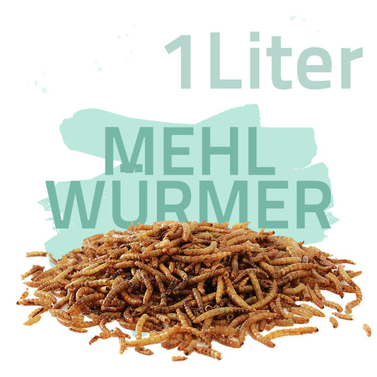 Mehlwürmer getrocknet 1 Liter