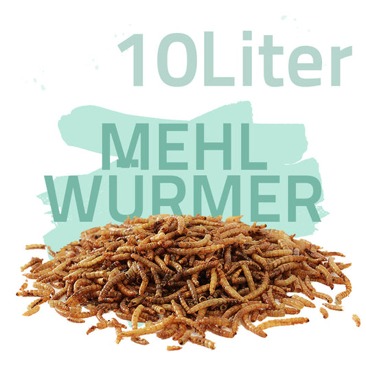 Mehlwürmer getrocknet 10 Liter