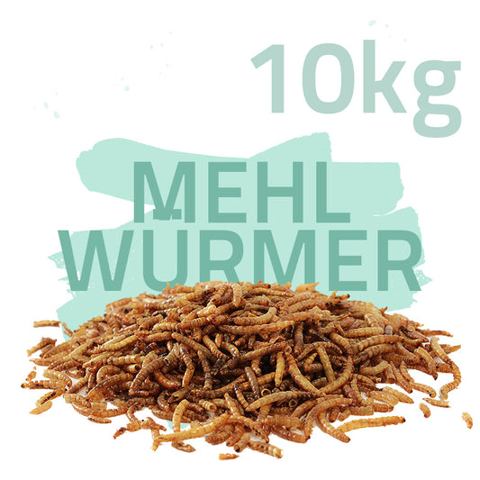 Mehlwürmer getrocknet 10 kg