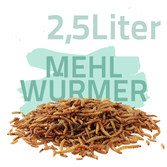 Mehlwürmer getrocknet 2,5 Liter