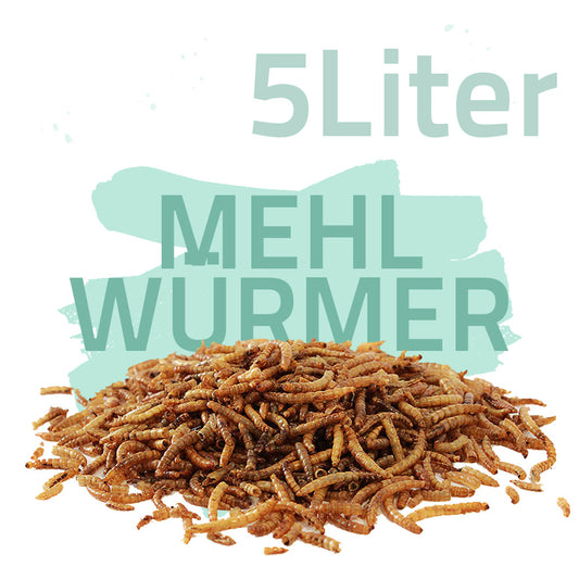 Mehlwürmer getrocknet 5 Liter