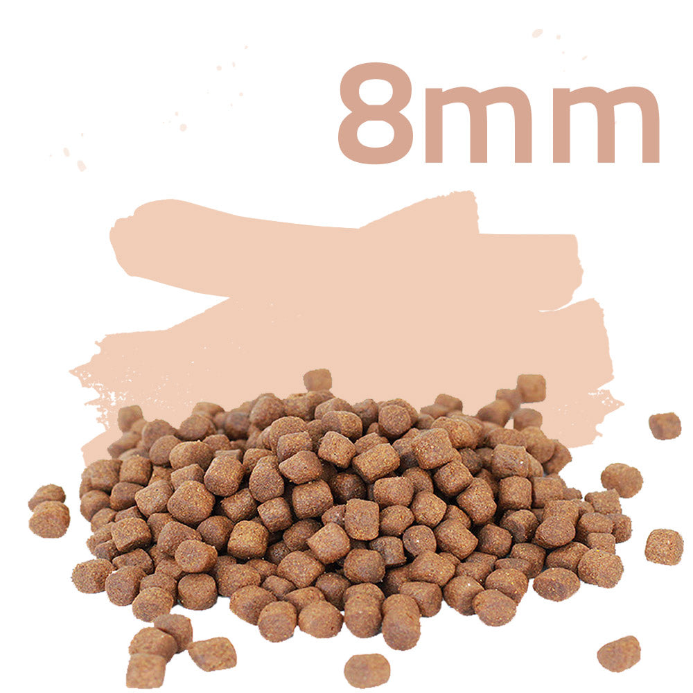 Premium Laichfutter 15kg