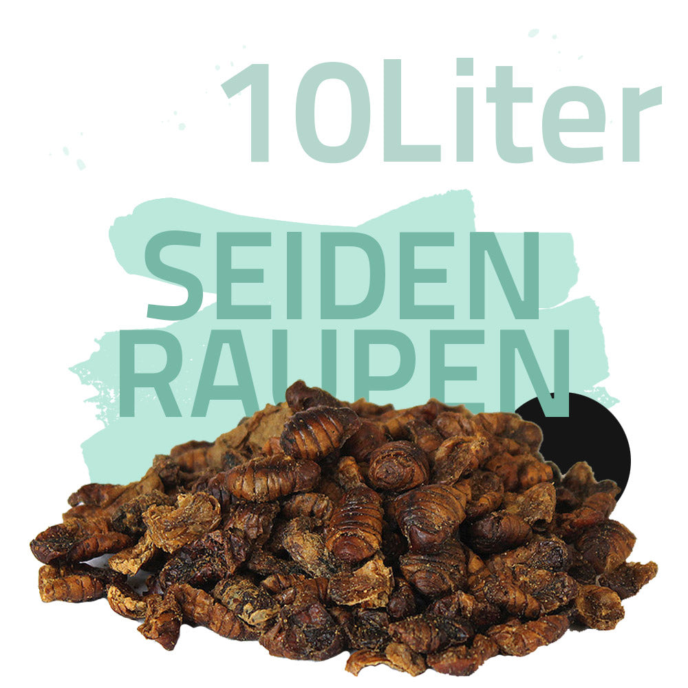 Seidenraupen 10 Liter - Black Line