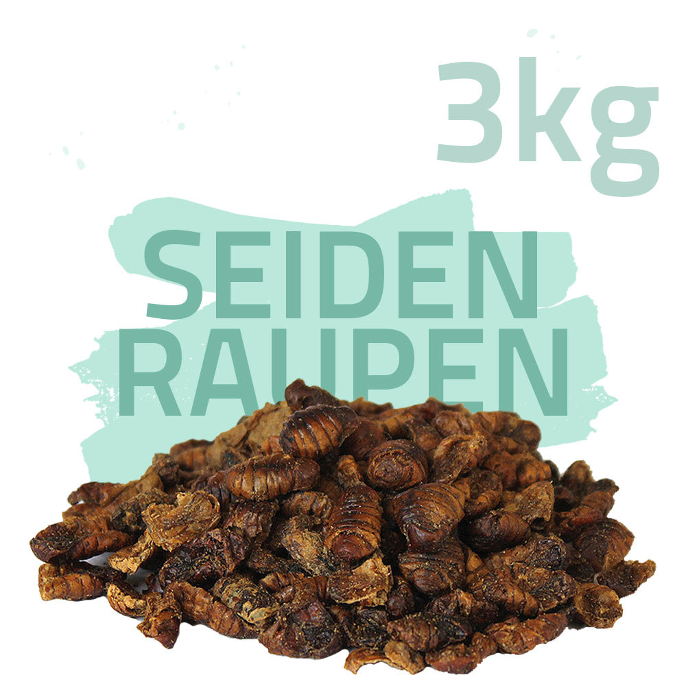 Seidenraupen 3kg ca. 10 Liter - Koifutter