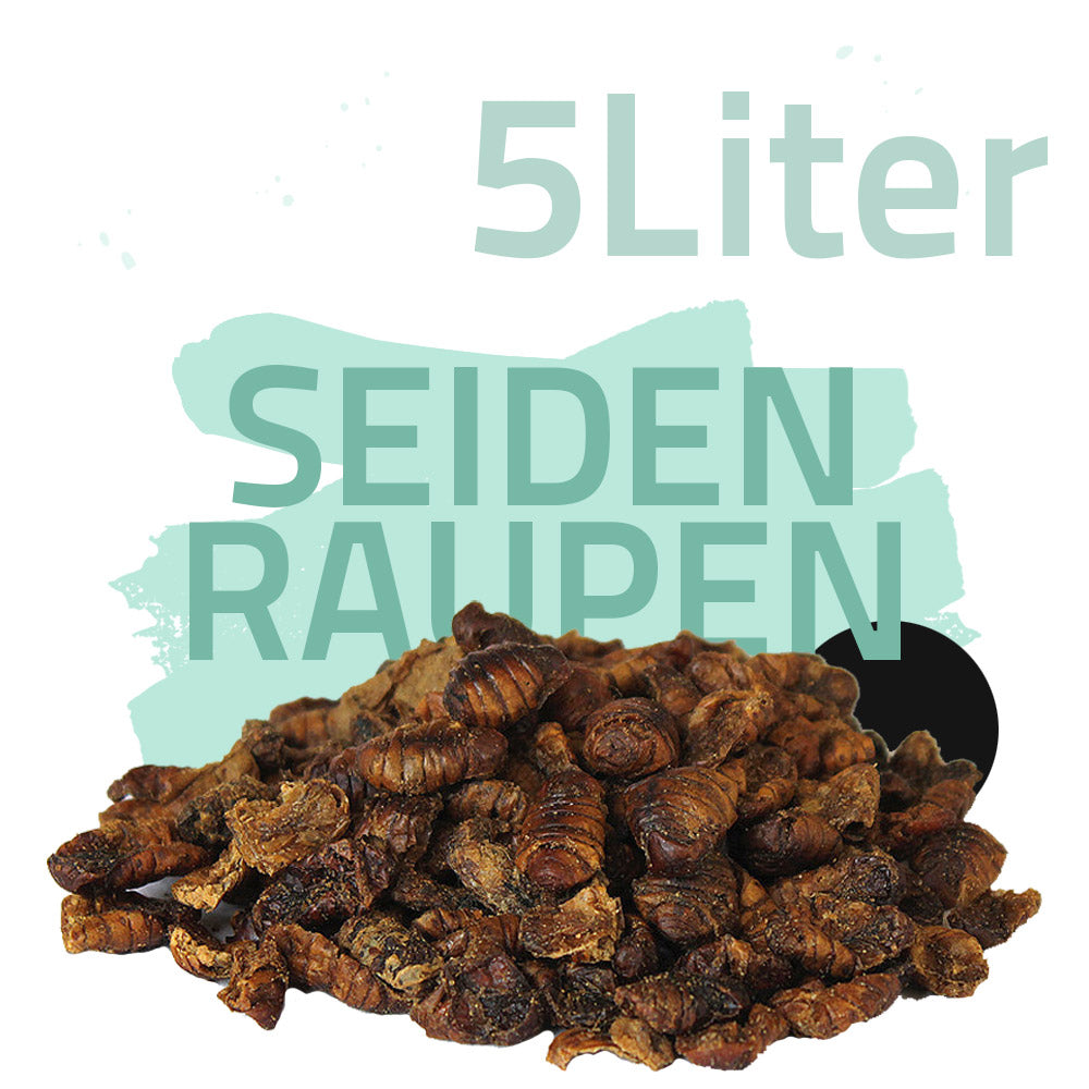 Seidenraupen 5 Liter - Black Line