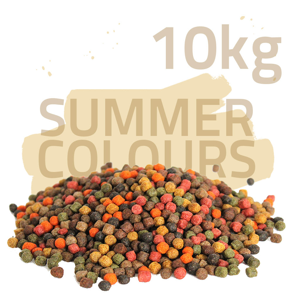 Koifutter-Set "Sommerfarben"