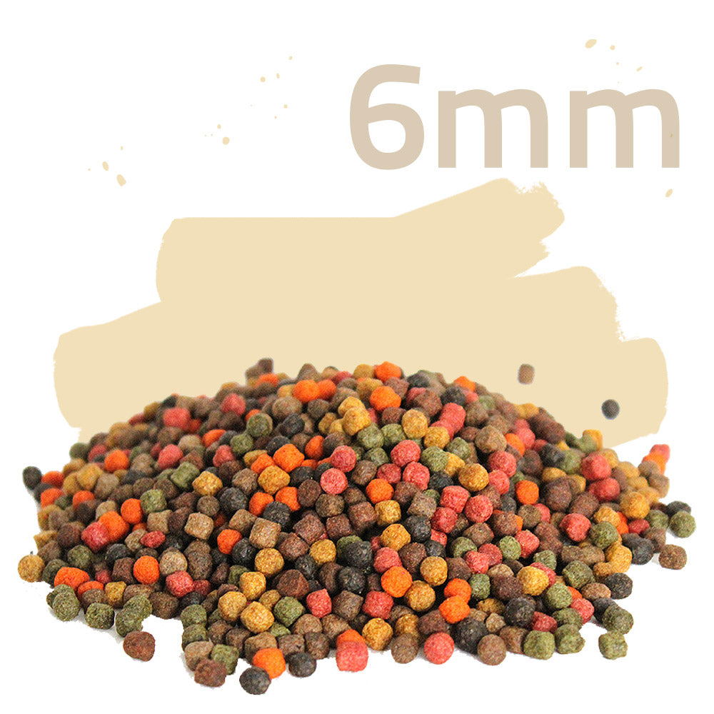 Summer Colours 15kg - Koifuttermix