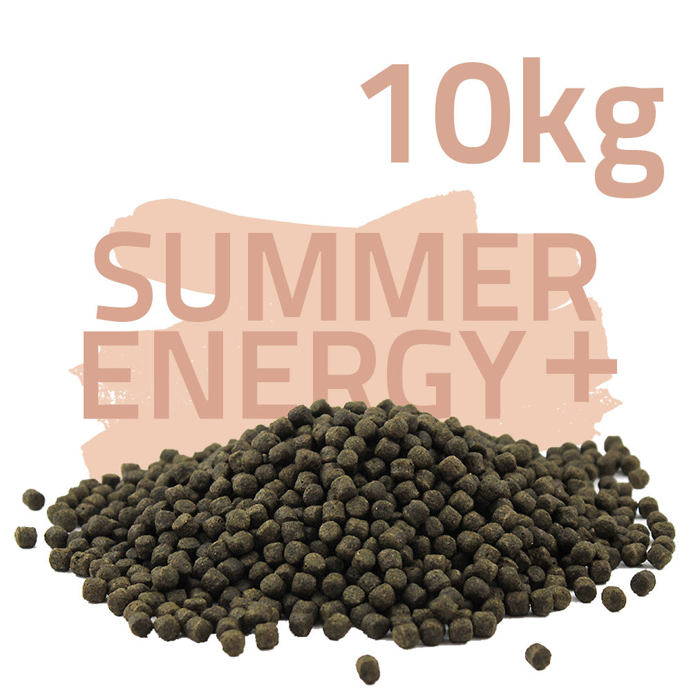 Summer Energy Plus 10kg - Koifutter