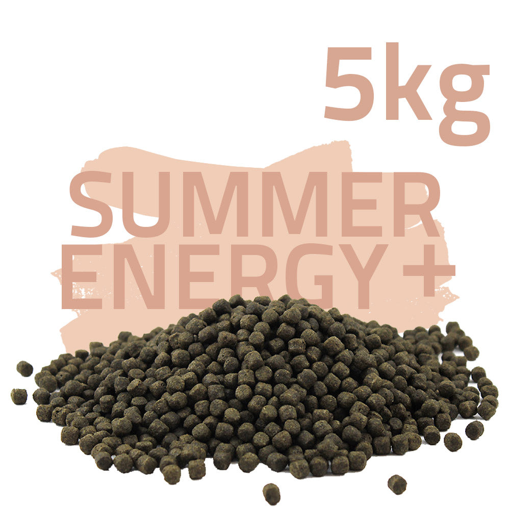 Summer Energy Plus 5kg - Koifutter