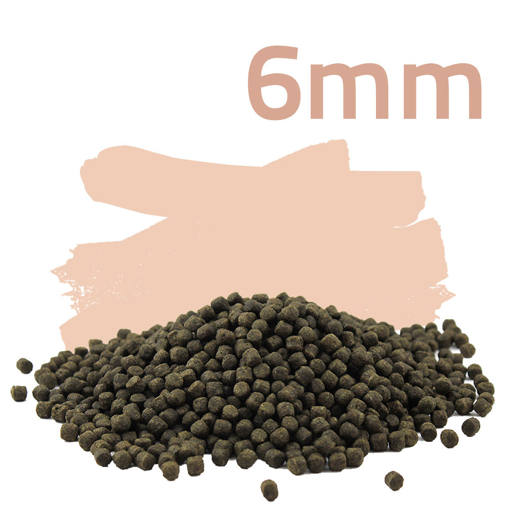 Summer Energy Plus 2,5kg - Koifutter