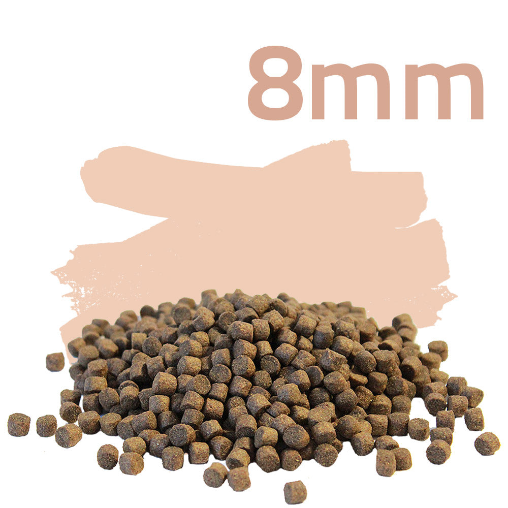 Top Energy Jumbo 5kg - Koifutter