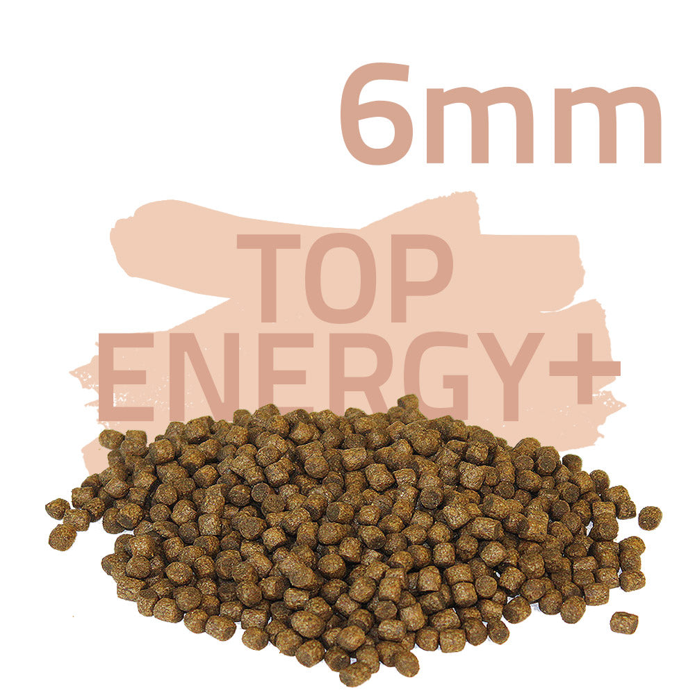 Top Energy Plus 15kg - Koifutter