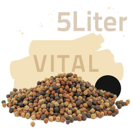 Vital Mix 5 Liter - Black Line