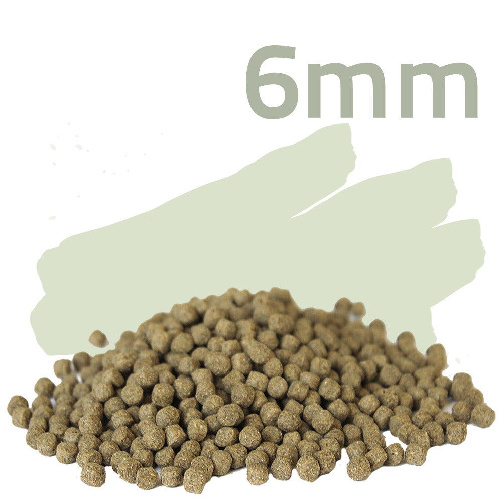 Wheat Germ 2,5kg - Koifutter