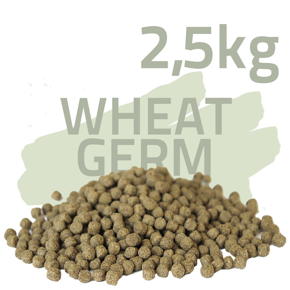 Wheat Germ 2,5kg - Koifutter