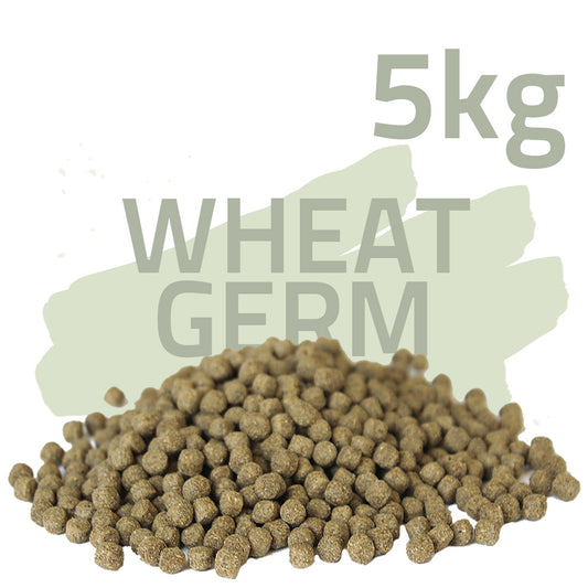 Wheat Germ 5kg - Koifutter
