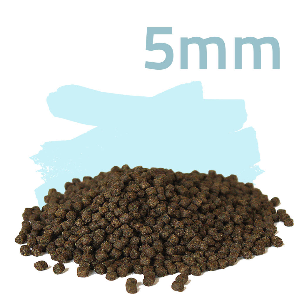 Winter Balance 3kg - Zierfischfutter
