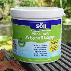 Algenbekämpfung