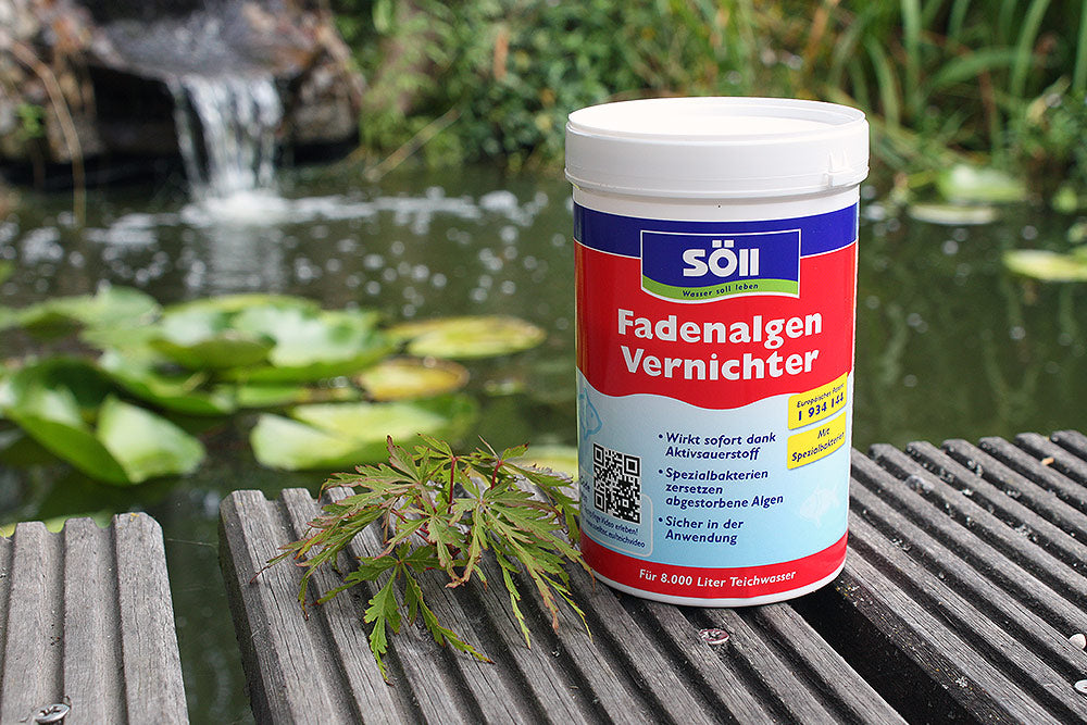 FadenalgenVernichter-250g