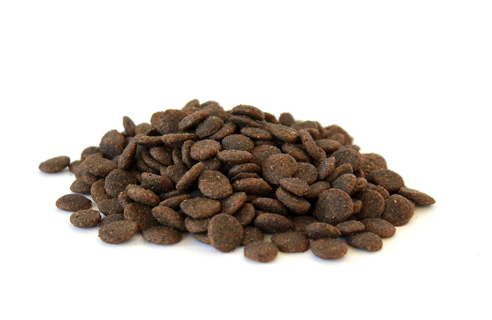 Hundefutter-Lachs-Forelle