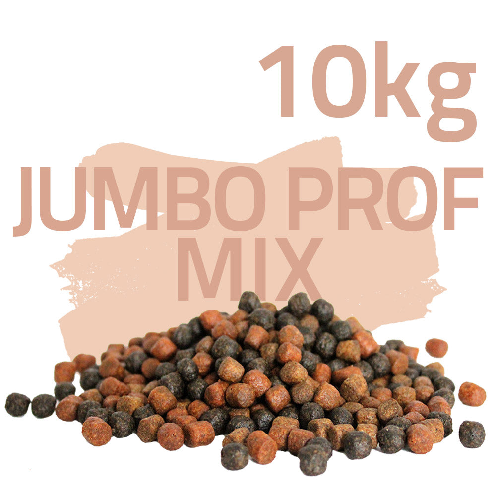 Koifutter-Set "Jumbo Power"