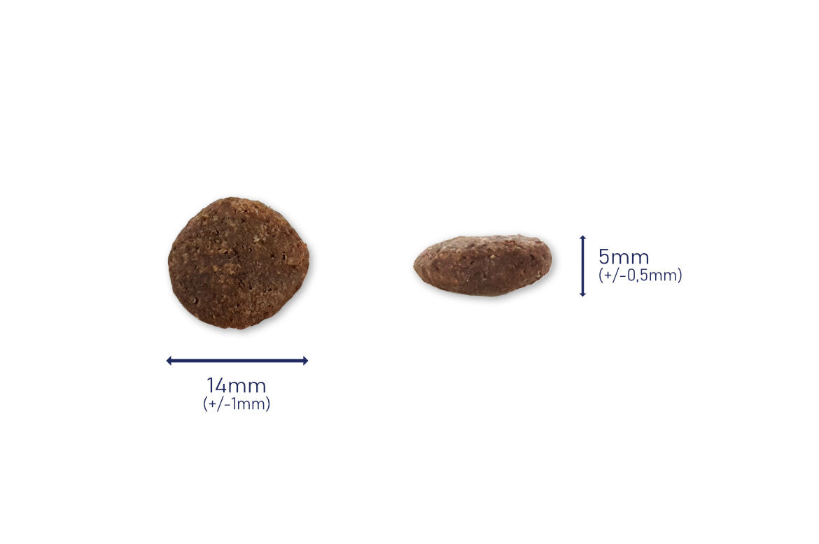 Masse-Kroketten