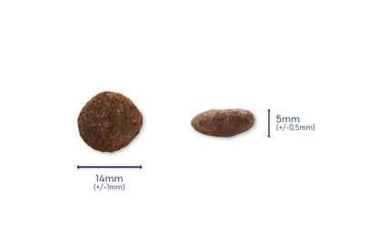 Masse-Kroketten