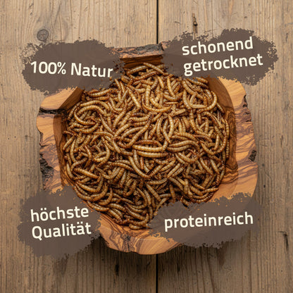Mehlwürmer getrocknet - die Vorteile