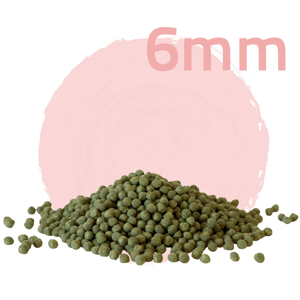 Sakura Premium 6mm