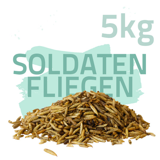 Soldatenfliegenlarven 5kg