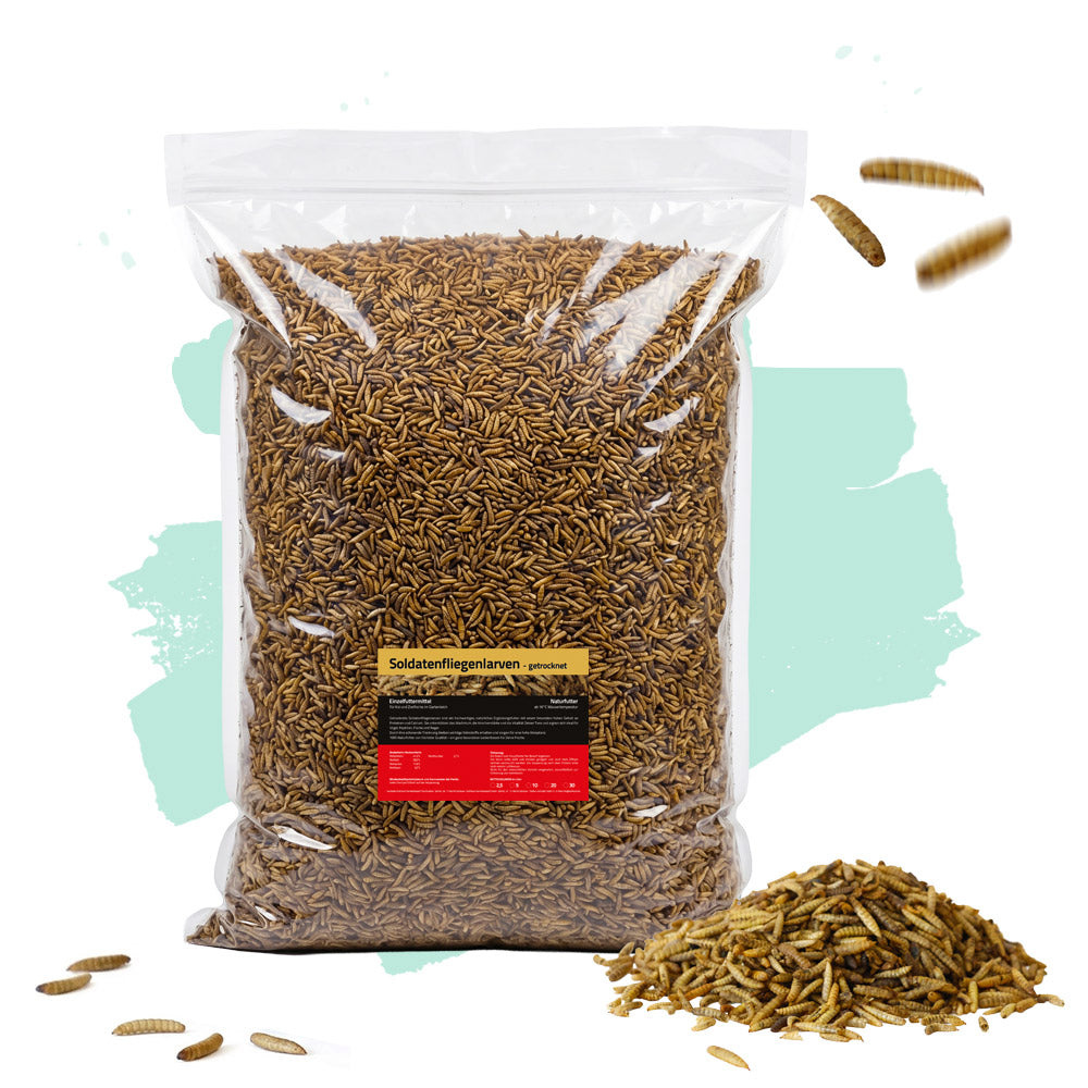 Soldatenfliegenlarven 5 kg Tüte