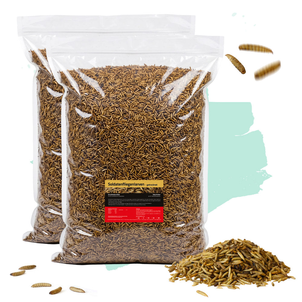 Soldatenfliegenlarven - 2x 5kg