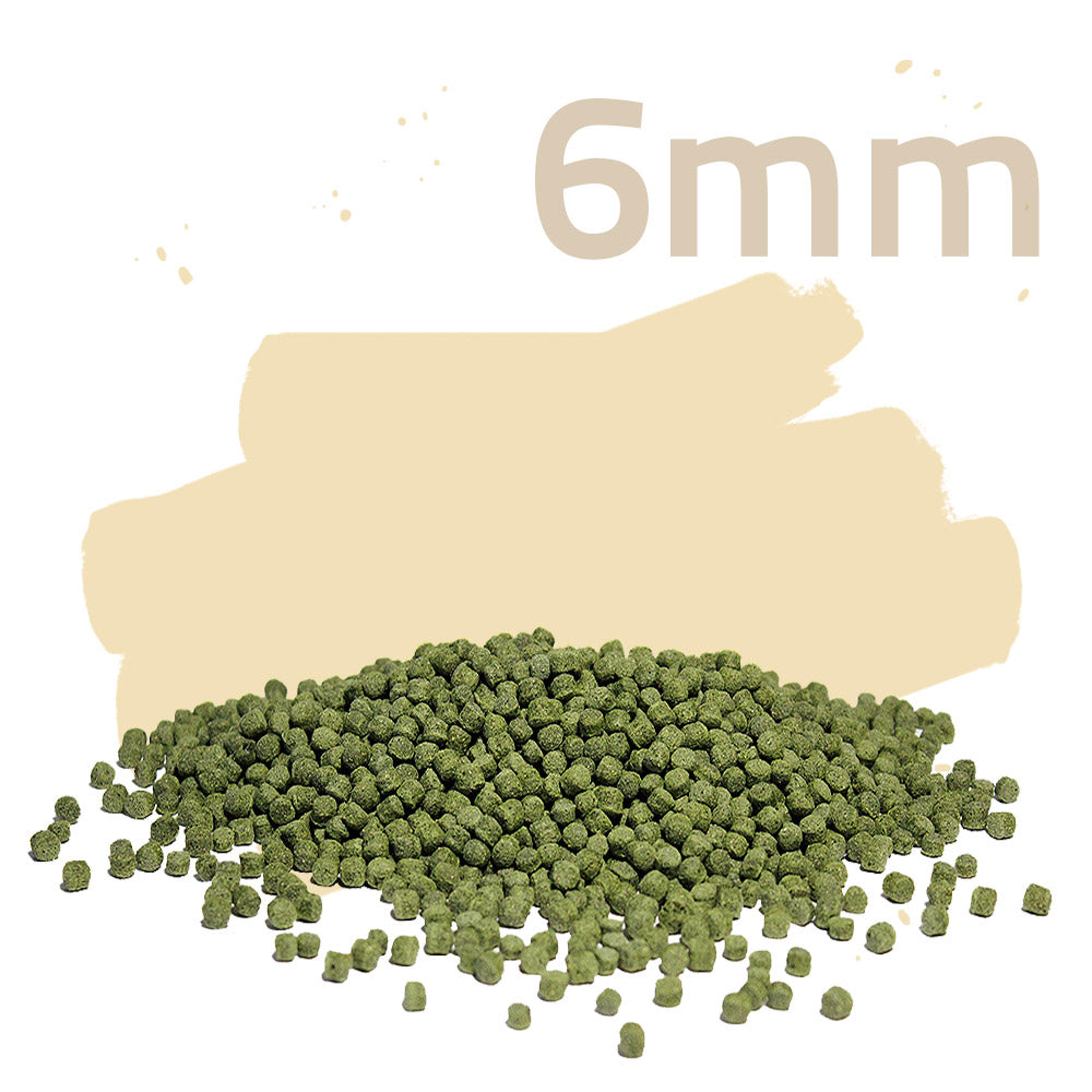 Summer Energy 5kg - Koifutter