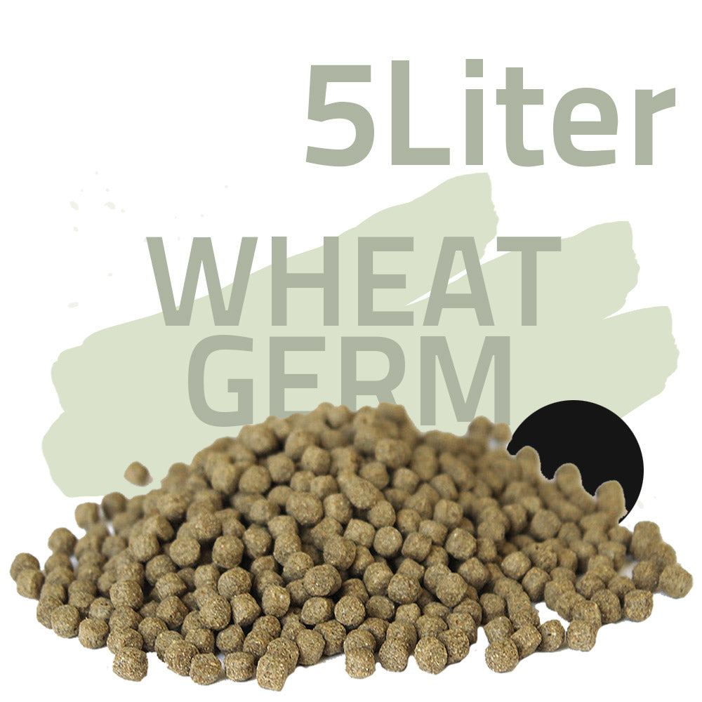 Wheat Germ 5 Liter - Black Line
