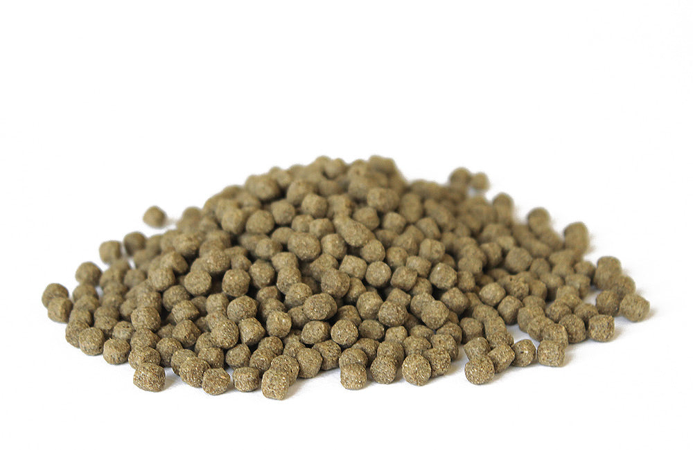 Wheat-Germ