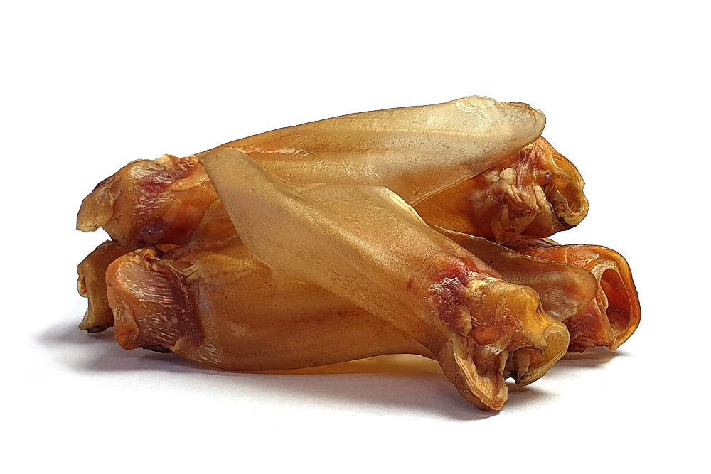 XL Rinderohren mit Ohrmuschel