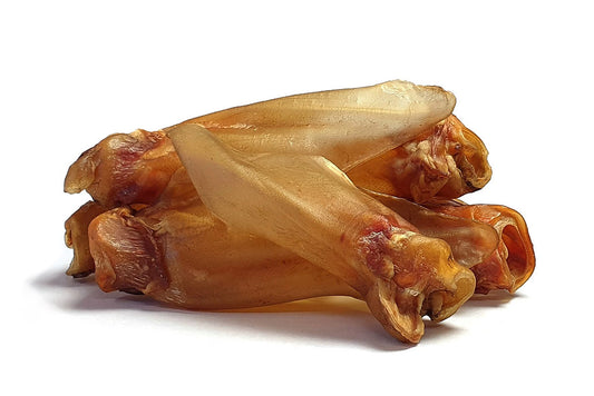 XL Rinderohren mit Ohrmuschel