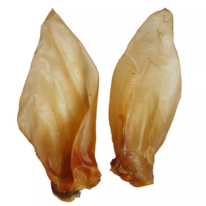 XL Rinderohren mit Ohrmuschel Detail