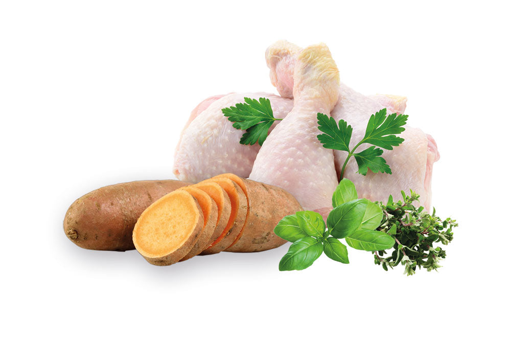 Zutaten-Huhn