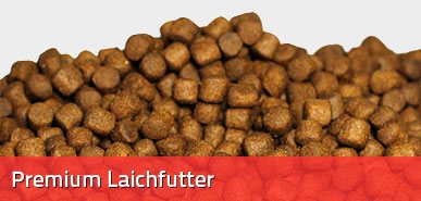 Koifriend Koifutter Premium Laichfutter